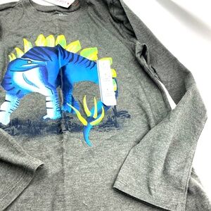 Boys Shirt Top Size Large 12/14 Dinosaur Long Sleeve Children Kids Gray